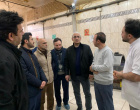 معاون بهداشت دانشگاه خواستار مشارکت صنایع در تولید نان سلامت‌محور شد