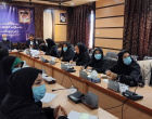ششمین کارگروه پیشگیری از سقط عمدی جنین دانشگاه علوم پزشکی اردبیل