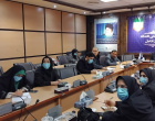 ششمین کارگروه پیشگیری از سقط عمدی جنین دانشگاه علوم پزشکی اردبیل