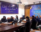 برگزاری کارگاه تخصصی ژنتیک اجتماعی در معاونت بهداشت دانشگاه