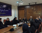 برگزاری کمیته تخصصی بررسی روند مراقبت بهداشتی از مادر متوفی