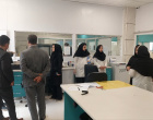 بازدید تیم دانشگاه علوم پزشکی زنجان از تجربه موفق اردبیل در راه‌اندازی شبکه آزمایشگاهی بهداشت