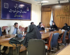 برگزاری کارگروه تخصصی سلامت و بیمه سالمندان در معاونت بهداشت دانشگاه