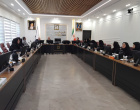 بررسی راهکارهای عملیاتی صیانت از جمعیت در دومین نشست ستاد جوانی جمعیت دانشگاه علوم پزشکی اردبیل