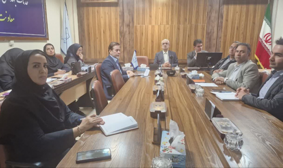 برگزاری کمیته دانشگاهی پیشگیری از خودکشی در معاونت بهداشت دانشگاه