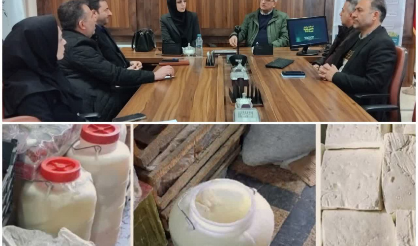 برگزاری جلسه هماهنگی پیشگیری از بیماری تب مالت در اردبیل / جمع‌آوری پنیرهای سنتی فاقد مشخصات از ابتدای سال ۱۴۰۵