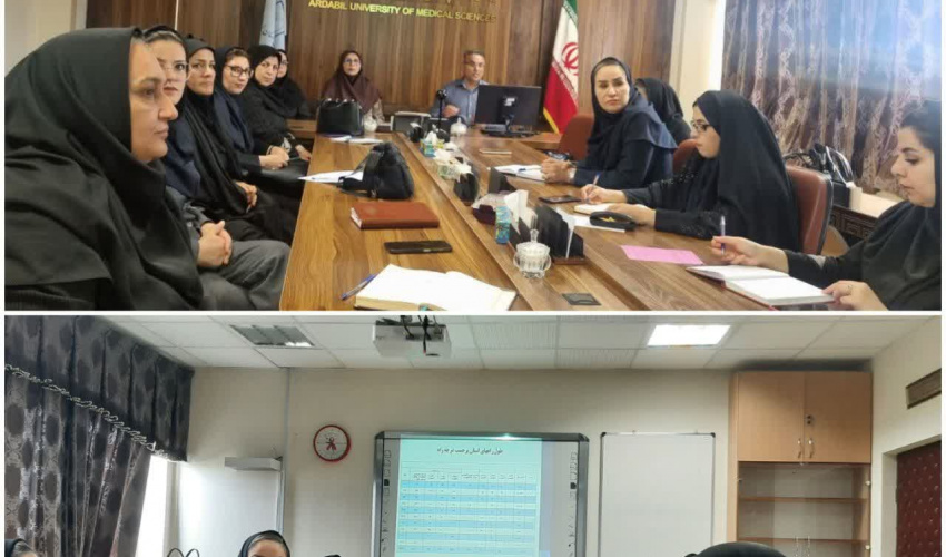 برگزاری دوره آموزشی پیشگیری از حوادث ترافیکی ویژه کارشناسان سلامت نوجوانان و جوانان در معاونت بهداشت دانشگاه