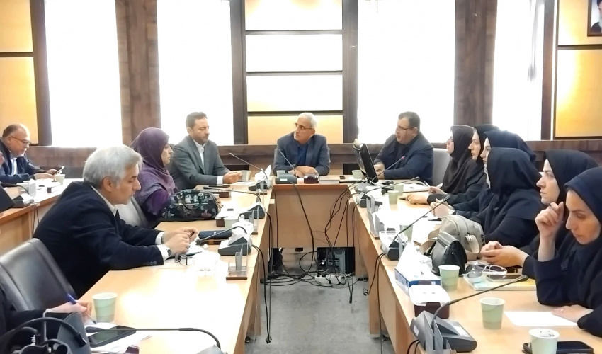 برگزاری دومین کارگروه پیشگیری از سقط عمدی جنین در دانشگاه علوم پزشکی اردبیل