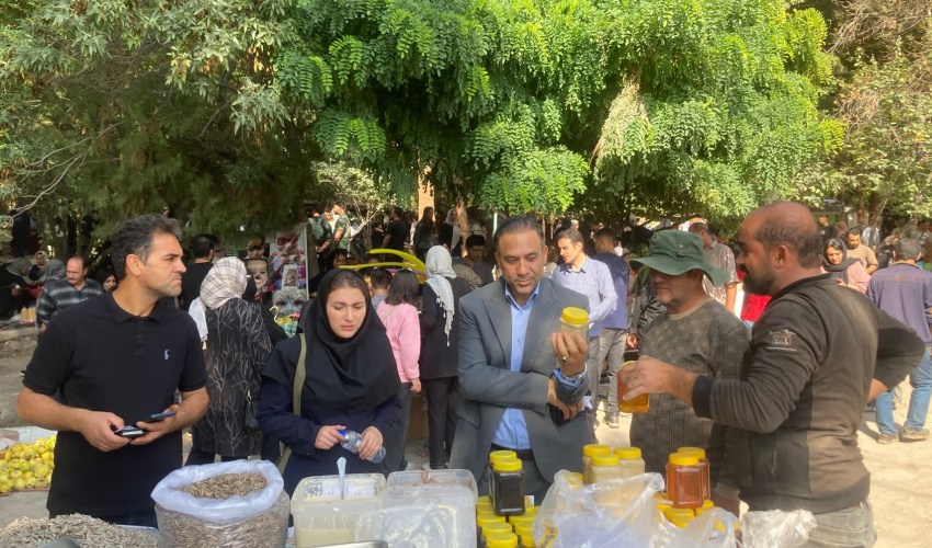 بازدید میدانی مدیر گروه سلامت محیط و کار دانشگاه از جشنواره عرضه مواد غذایی